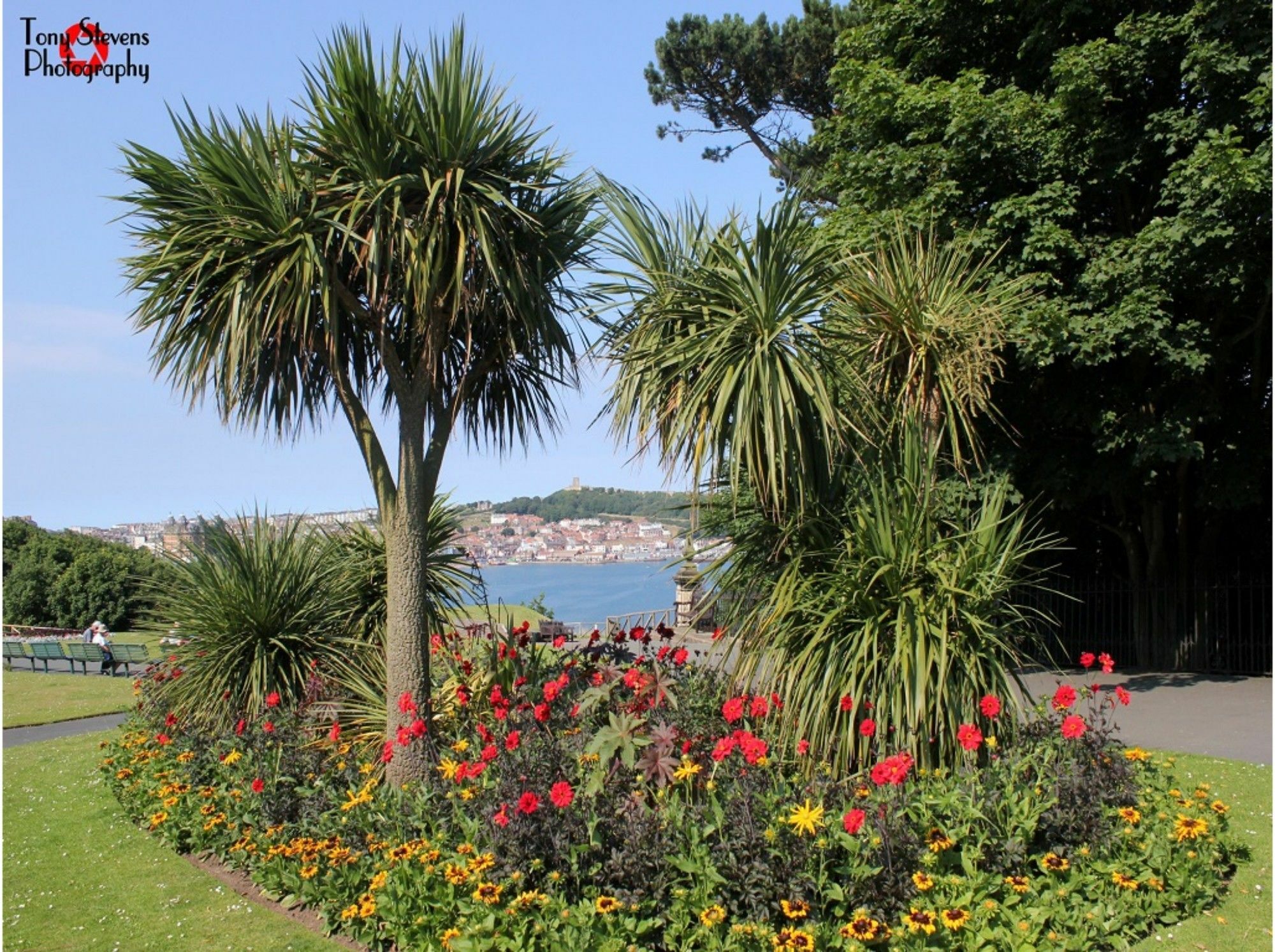 Esplanade Gardens B&B Scarborough Zewnętrze zdjęcie
